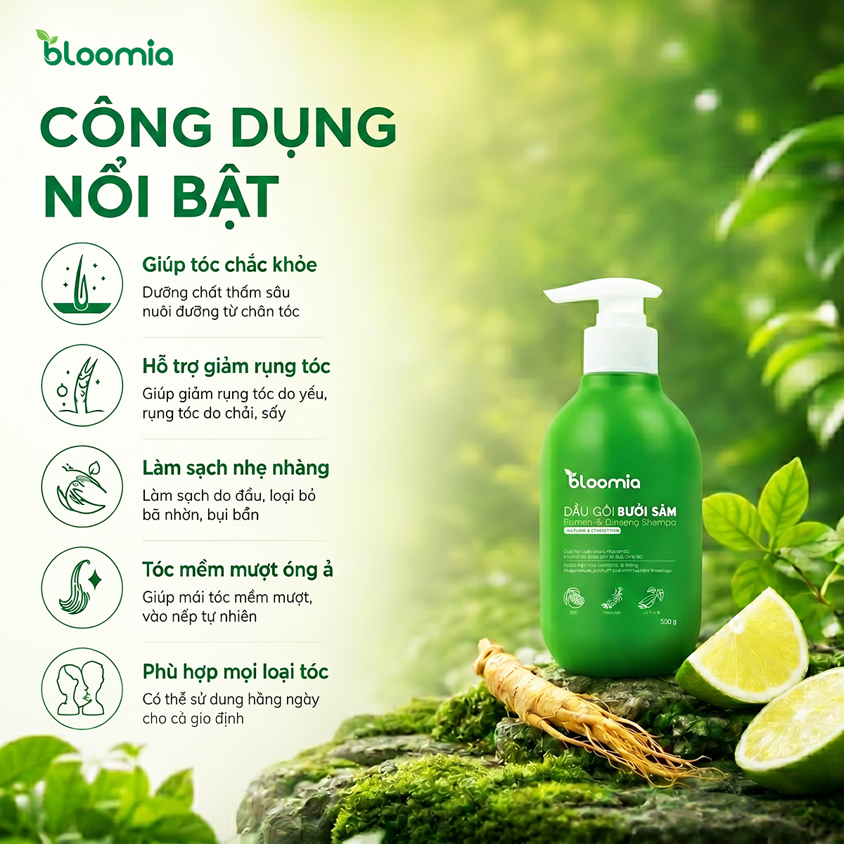 Dầu Gội Thảo Dược Bưởi Sâm Bloomia 320g - Hình ảnh 3